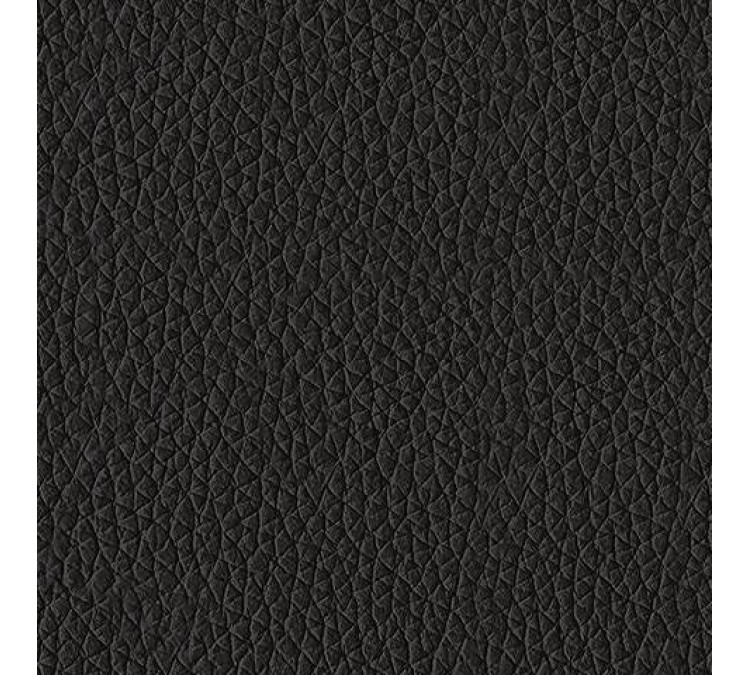 Danemere Sofa and Loveseat - Black