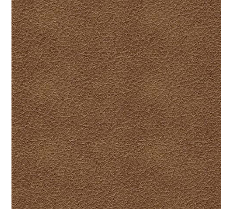 Bolsena Sofa and Loveseat - Caramel