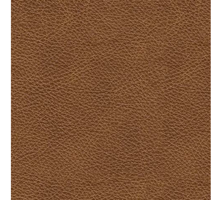 Emilia Sofa and Loveseat - Caramel
